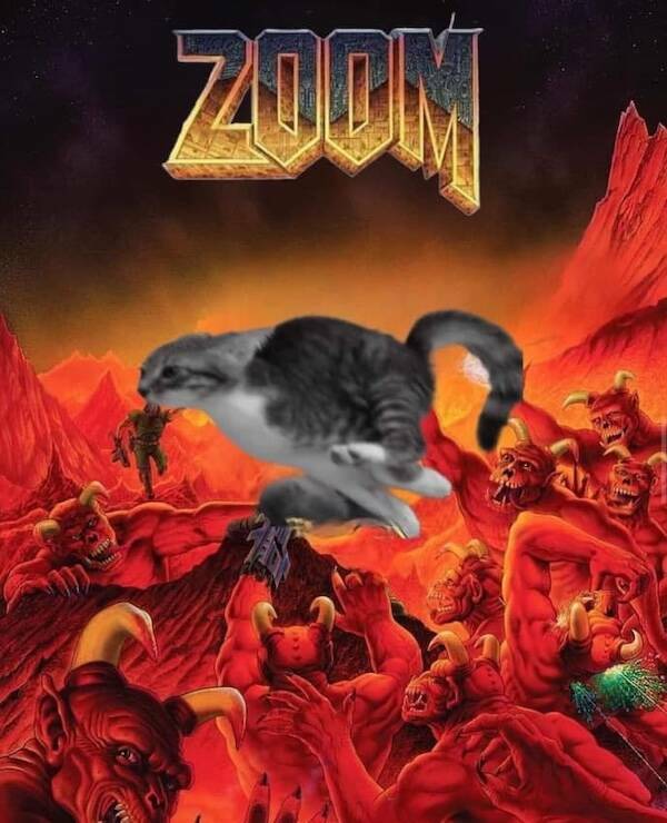 Photos That Remind Me My Cat Is Actually Cute