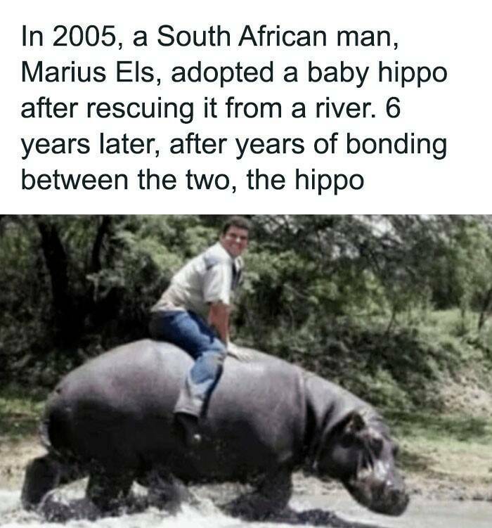 When Safety Takes A Backseat