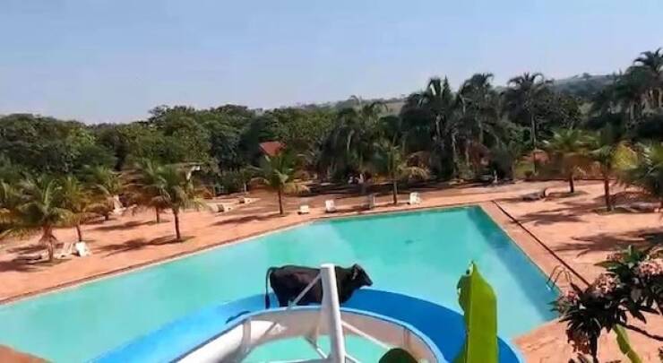 Visual Nonsense For The Boldest Minds Visual Nonsense For The Boldest Minds