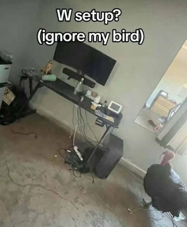 Visual Nonsense For The Boldest Minds Visual Nonsense For The Boldest Minds