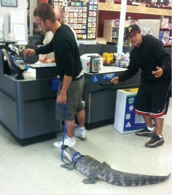 Visual Nonsense For The Boldest Minds