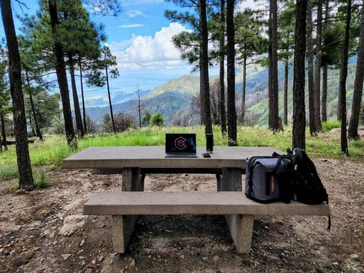 The Work-From-Home Struggle