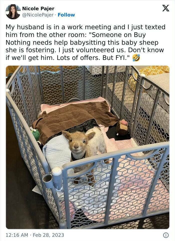 The Work-From-Home Struggle