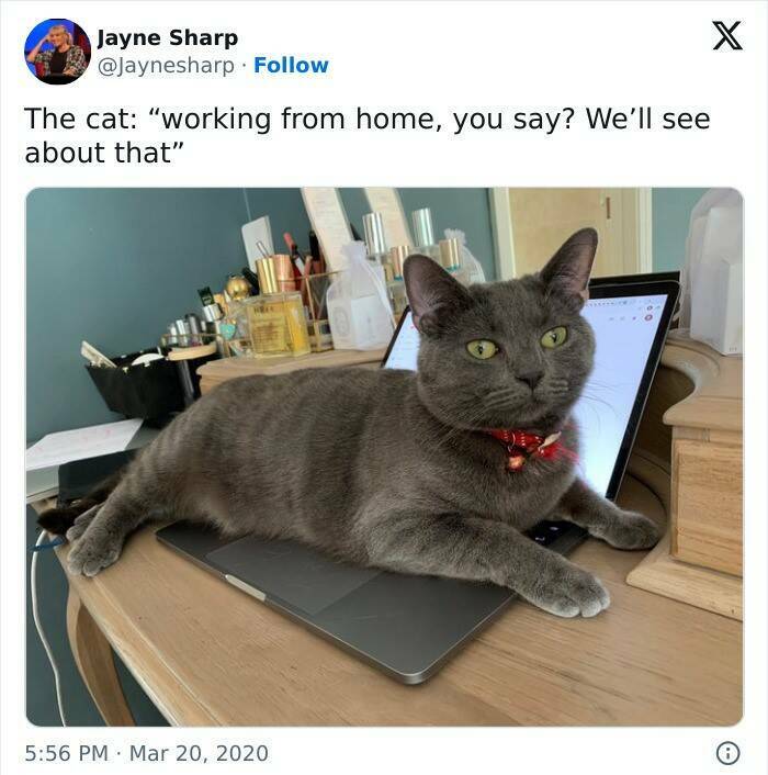 The Work-From-Home Struggle