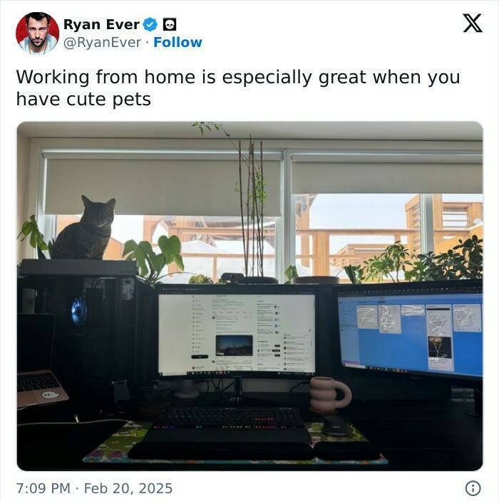 The Work-From-Home Struggle