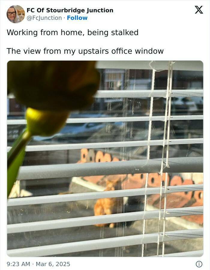 The Work-From-Home Struggle