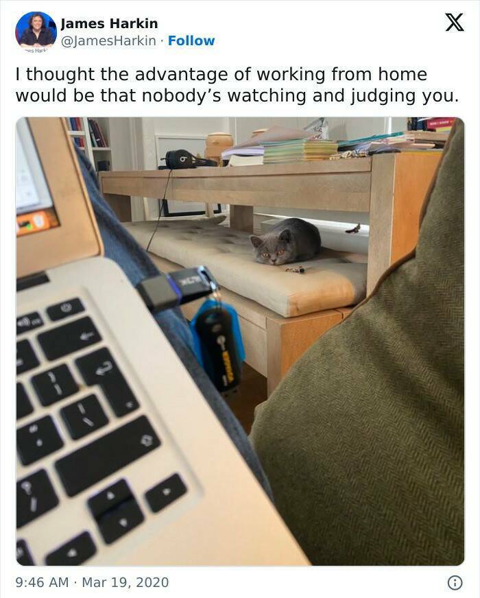 The Work-From-Home Struggle