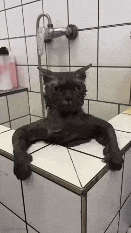 Daily Gifdump Daily Gifdump