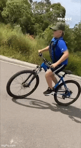 Daily Gifdump Daily Gifdump