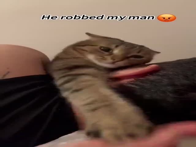Not Your Man!
