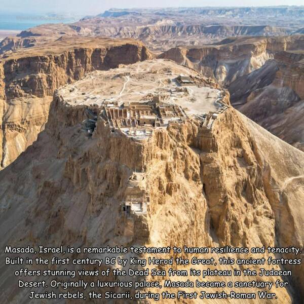 Daily Picdump Daily Picdump