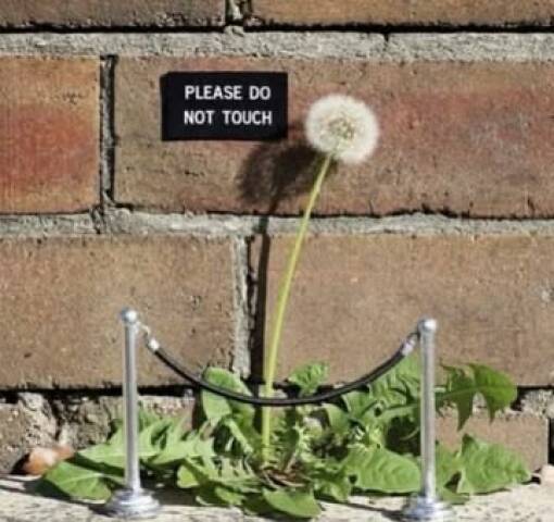 Daily Picdump Daily Picdump