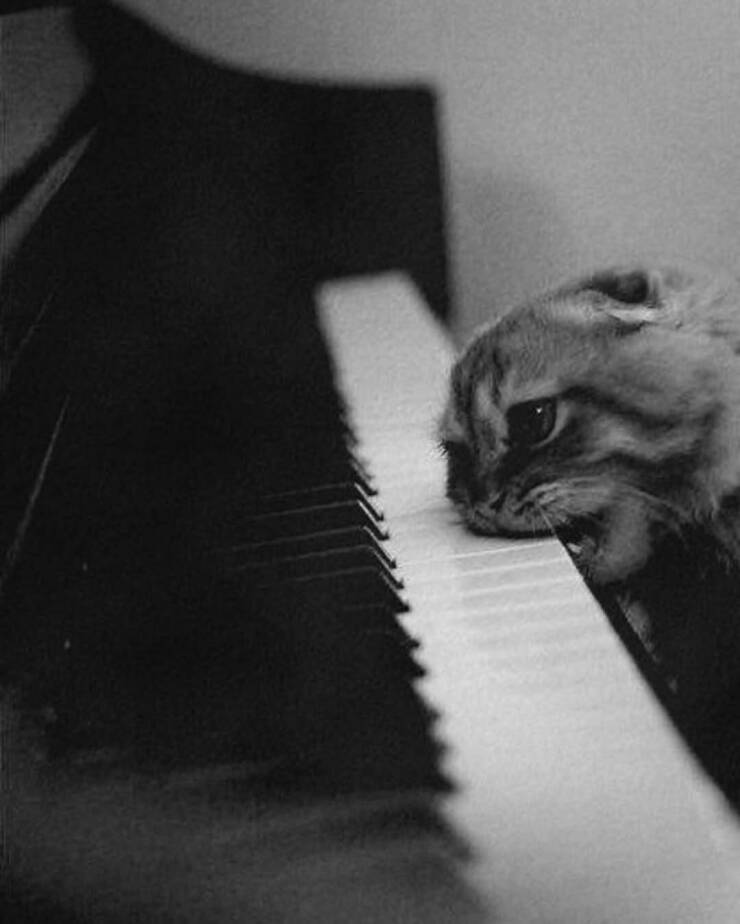 Daily Picdump Daily Picdump