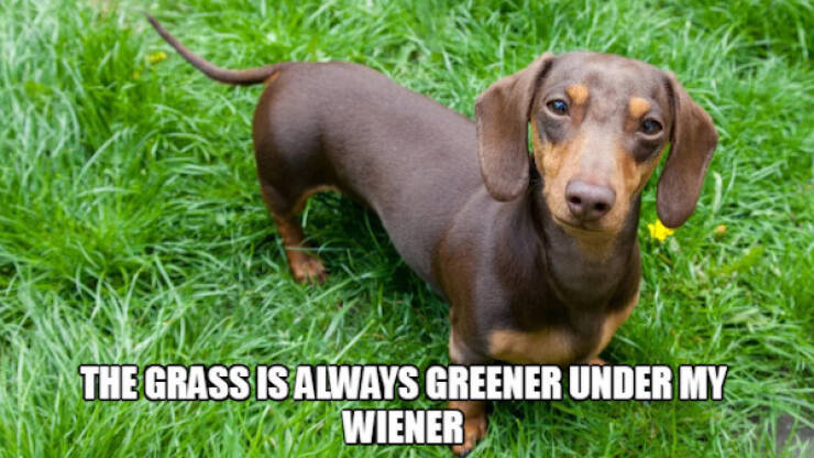 Screen Strike — Meme Right In The Top Corner!