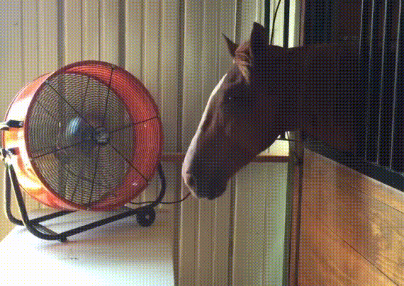 Daily Gifdump Daily Gifdump