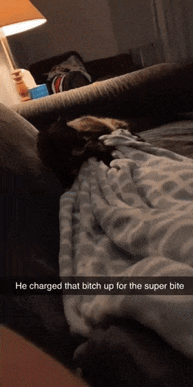 Daily Gifdump Daily Gifdump