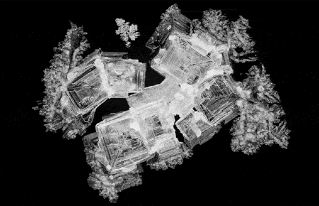 Daily Gifdump Daily Gifdump