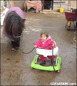 Daily Gifdump Daily Gifdump