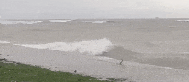 Daily Gifdump Daily Gifdump