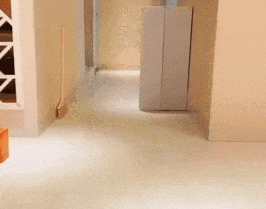 Daily Gifdump Daily Gifdump