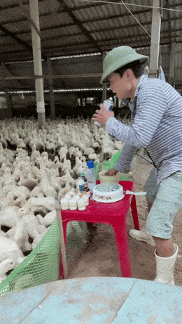 Daily Gifdump Daily Gifdump