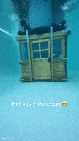 Daily Gifdump Daily Gifdump