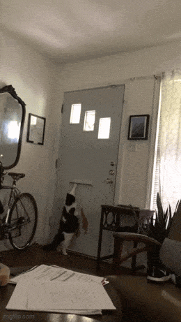 Daily Gifdump Daily Gifdump