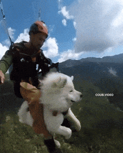 Daily Gifdump Daily Gifdump