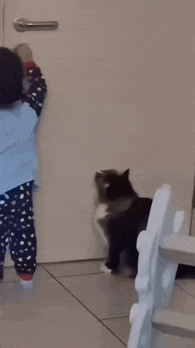 Daily Gifdump Daily Gifdump