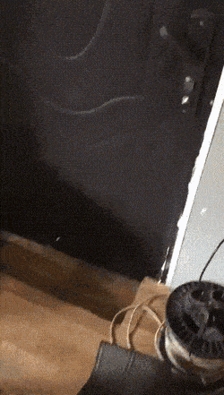 Daily Gifdump Daily Gifdump