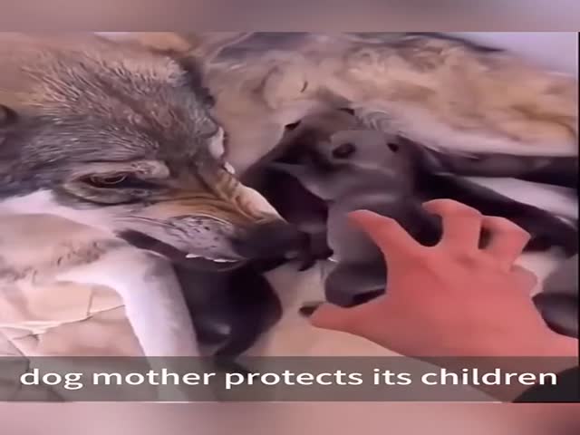 Moms, They’re Moms For Everyone