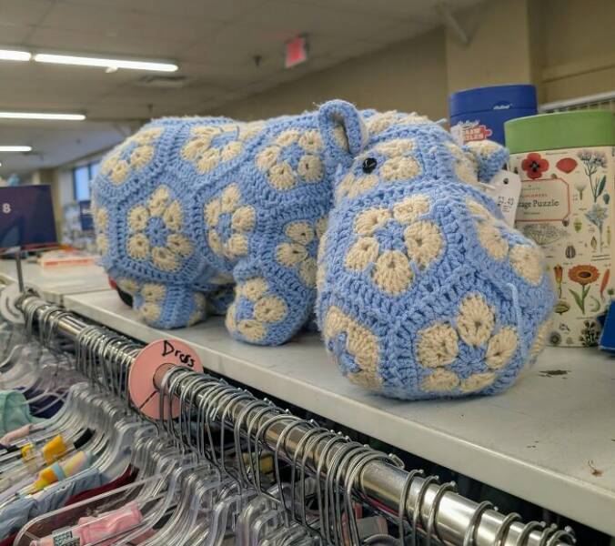 Secondhand Treasures Too Strange To Ignore