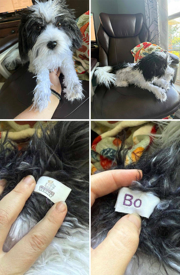 Secondhand Treasures Too Strange To Ignore Secondhand Treasures Too Strange To Ignore