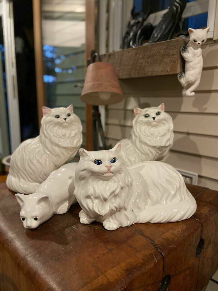 Secondhand Treasures Too Strange To Ignore Secondhand Treasures Too Strange To Ignore