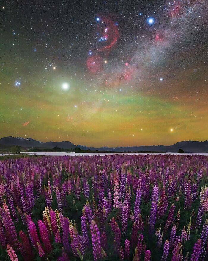 Stunning Milky Way Photos That Captivate The World