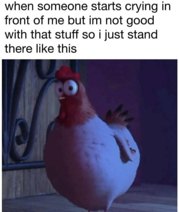 Uncomfortable Laughs Only