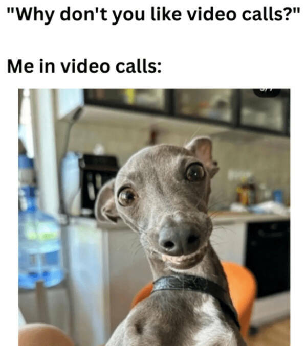 Uncomfortable Laughs Only