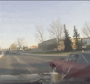 https://img.izismile.com/img/img15/20250606/gifs/daily_gifdump_5020_07.gif