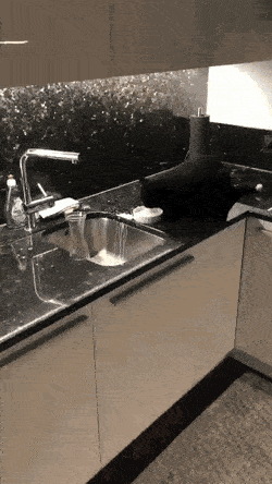 https://img.izismile.com/img/img15/20250606/gifs/daily_gifdump_5020_11.gif