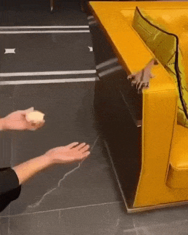 https://img.izismile.com/img/img15/20250606/gifs/daily_gifdump_5020_15.gif