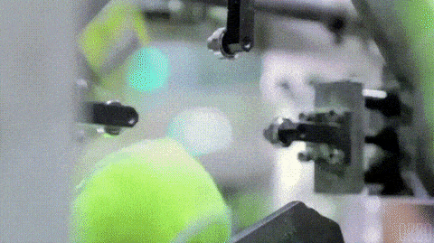 https://img.izismile.com/img/img15/20250606/gifs/daily_gifdump_5020_24.gif