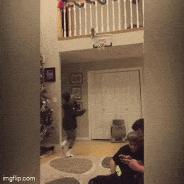 Daily Gifdump