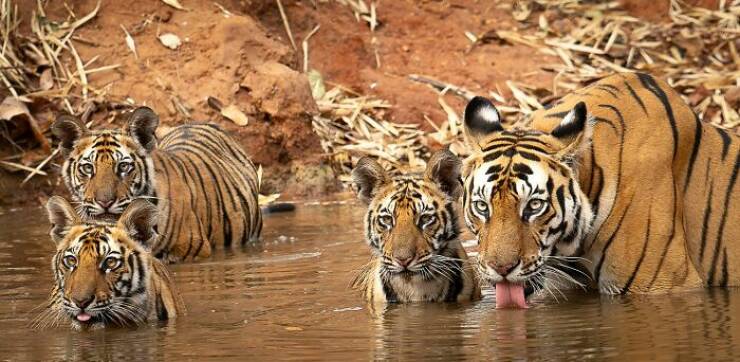 1839 Awards Reveal This Year’s Most Breathtaking Color Photos