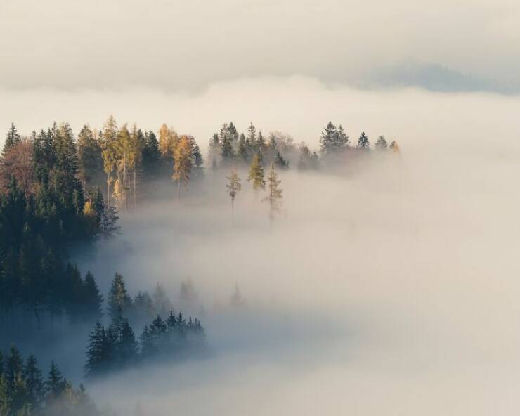 1839 Awards Reveal This Year’s Most Breathtaking Color Photos