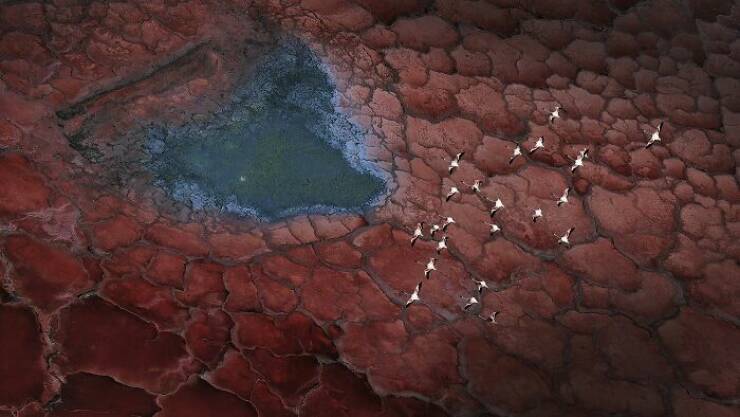 1839 Awards Reveal This Year’s Most Breathtaking Color Photos