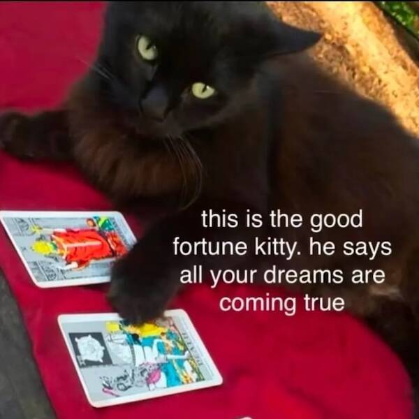 Big Mood, Brighter Mindset