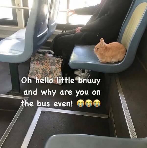 Big Mood, Brighter Mindset