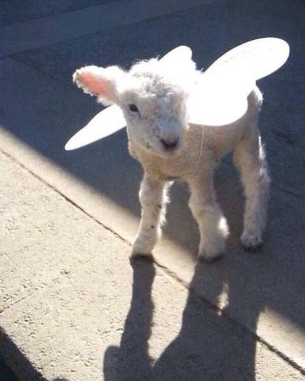 Big Mood, Brighter Mindset