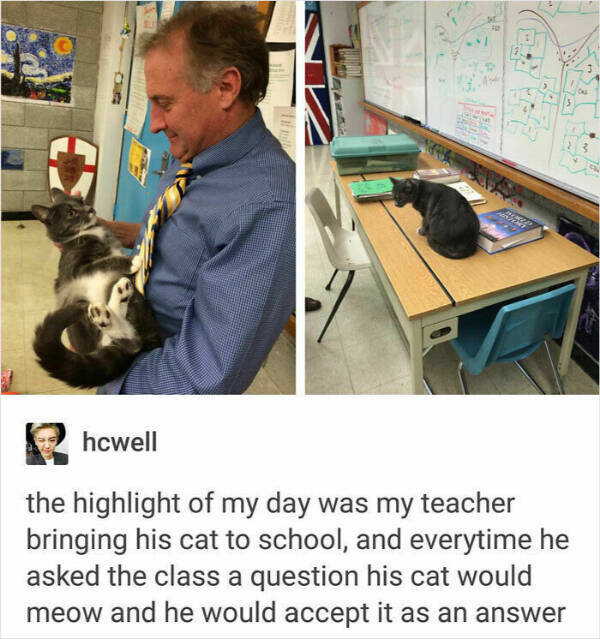 Certified Legends Of The Classroom