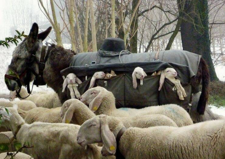 Daily Picdump